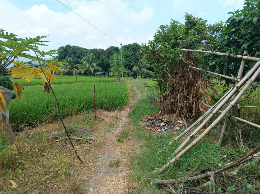 4-Hectare Land Beside National Highway Of Digos City Barangay Matti