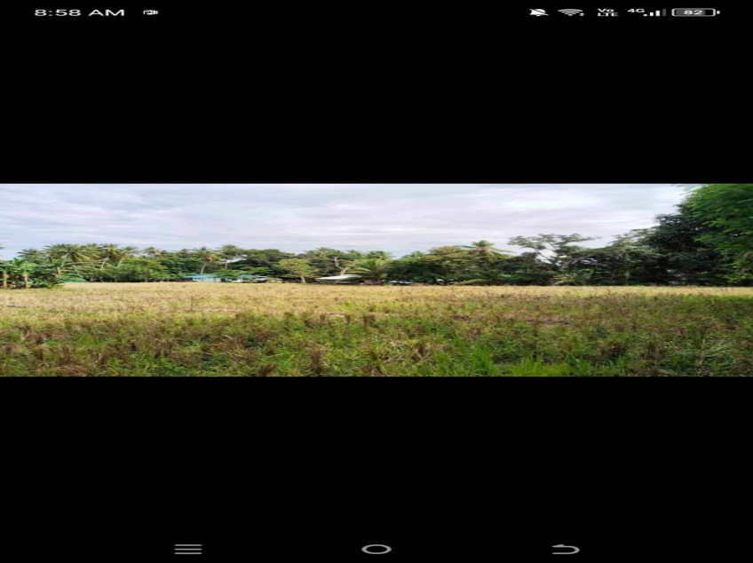 4-Hectare Land Beside National Highway Of Digos City Barangay Matti