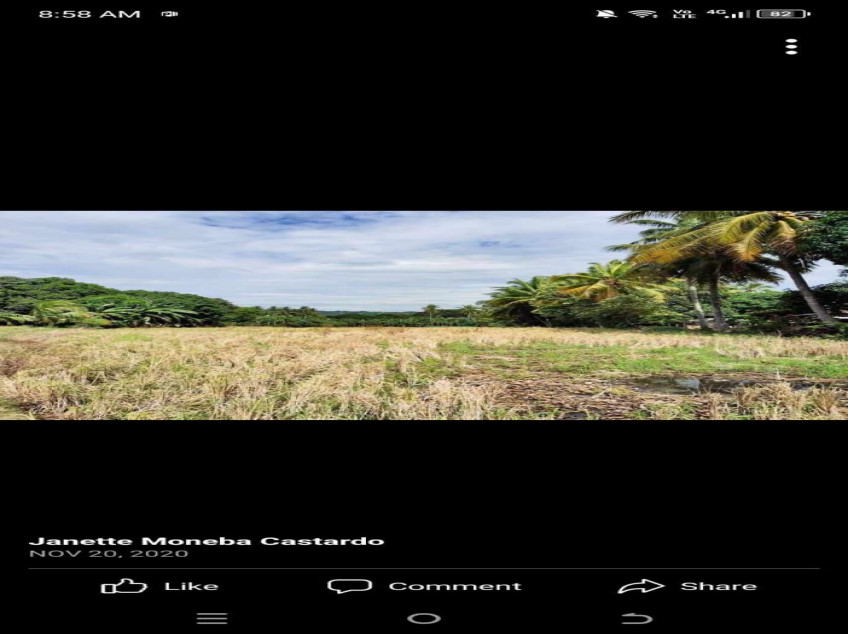 4-Hectare Land Beside National Highway Of Digos City Barangay Matti