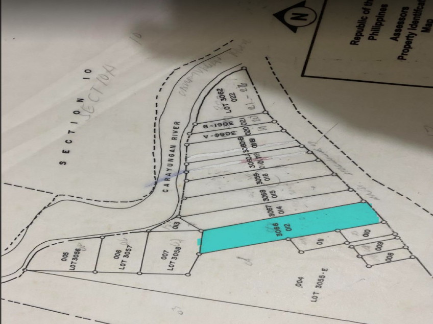 Residential Lot For Sale In Umingan, Pangasinan (Price Negotiable)