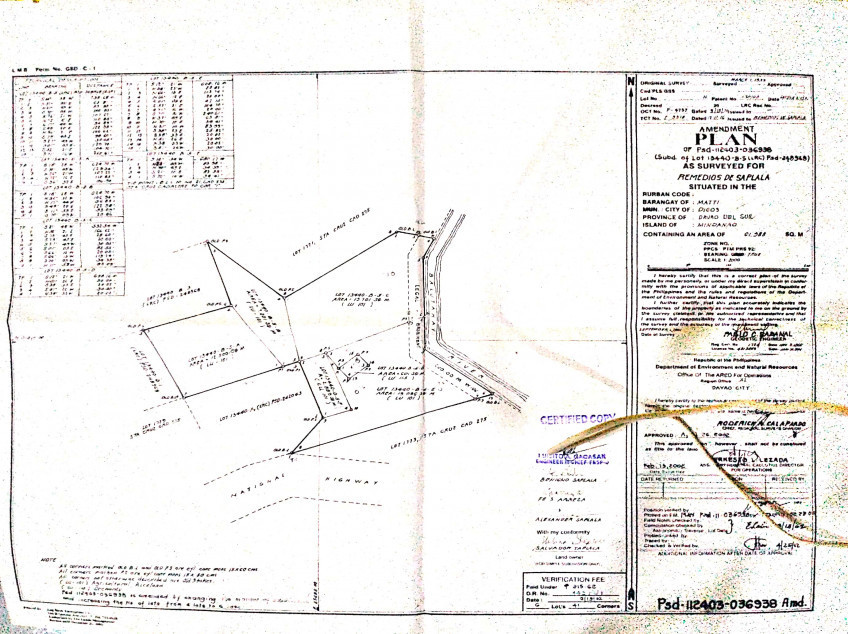 4-Hectare Land Beside National Highway Of Digos City Barangay Matti