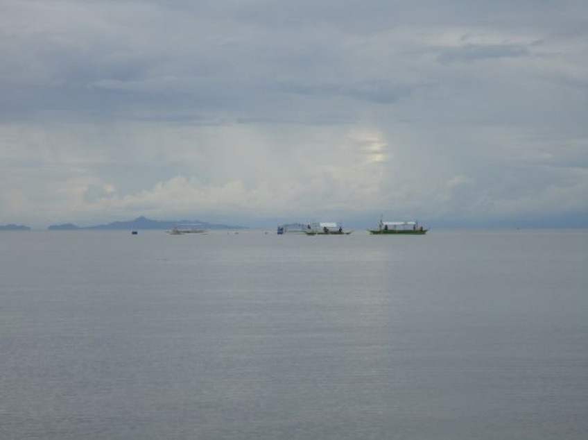 Batangas Beach Resort Lot For Sale – Owner Financing*