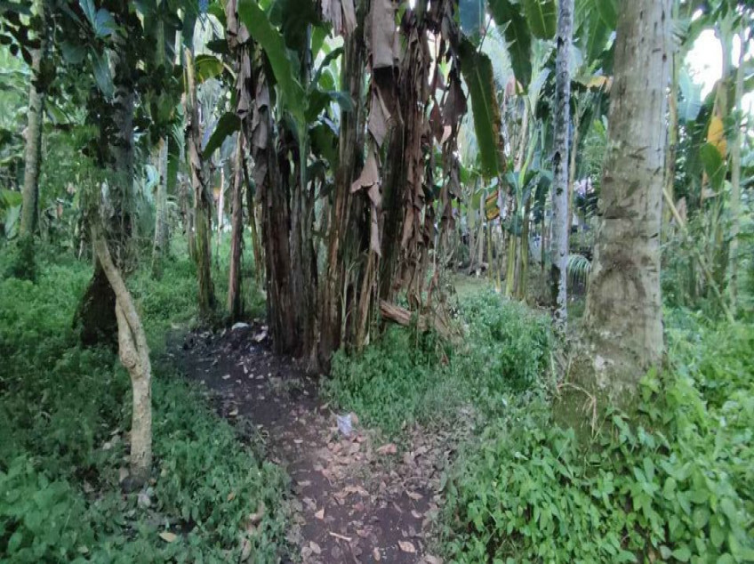 547 SQM. Residential Land For Sale In Medina, Misamis Oriental