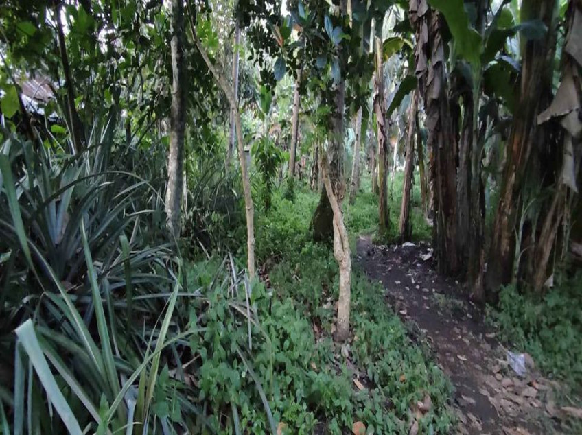 547 SQM. Residential Land For Sale In Medina, Misamis Oriental