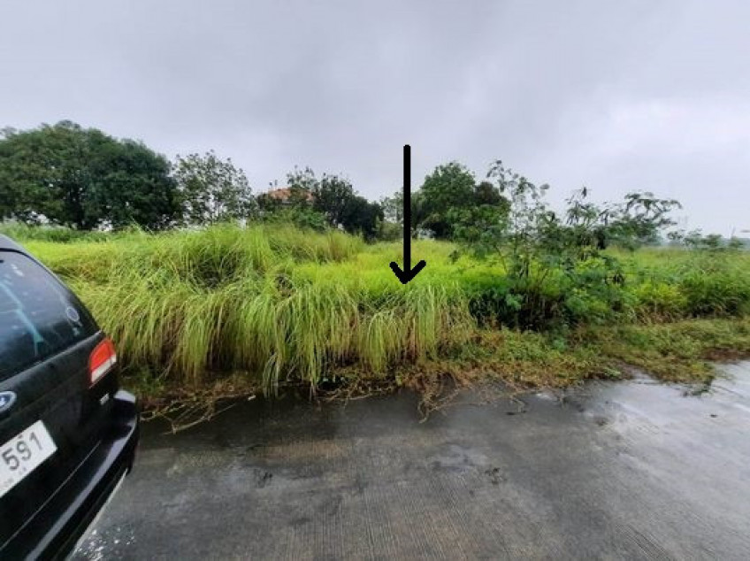 Residential Lot In Metropolis Subdivision Lucena City (140 SQM)