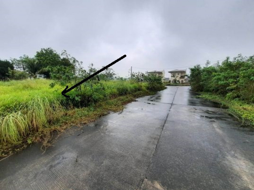 Residential Lot In Metropolis Subdivision Lucena City (140 SQM)