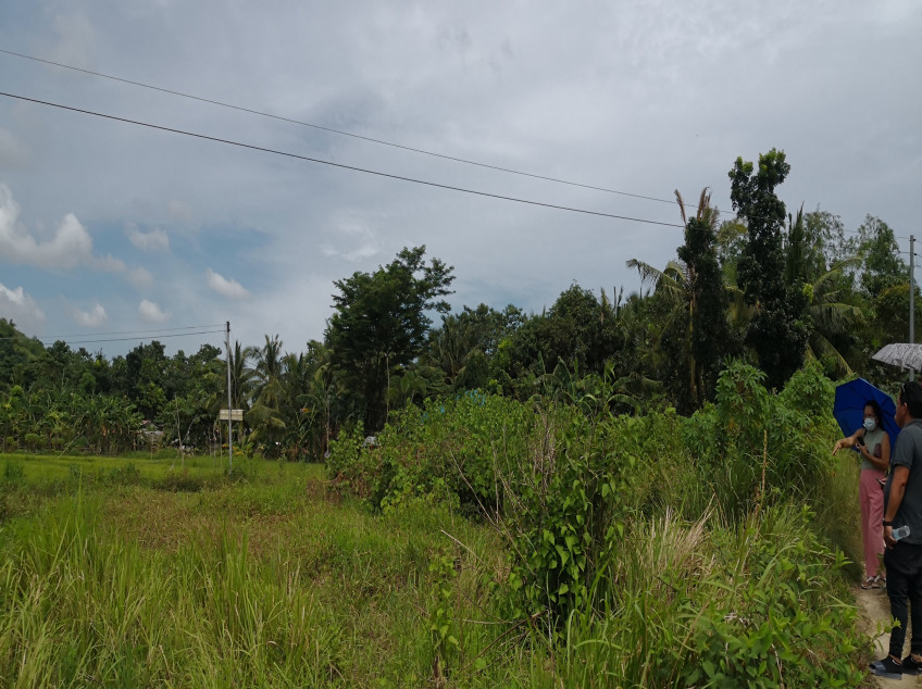 Carles The Land Ff Tourist Destination In Iloilo