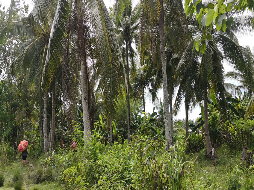 Carles The Land Ff Tourist Destination In Iloilo