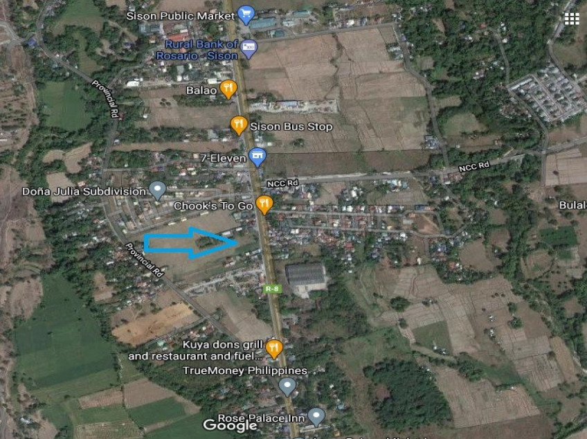 Lot For Sale In Sison Pangasinan Along Highway