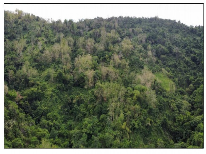 Lot for Sale in La Union