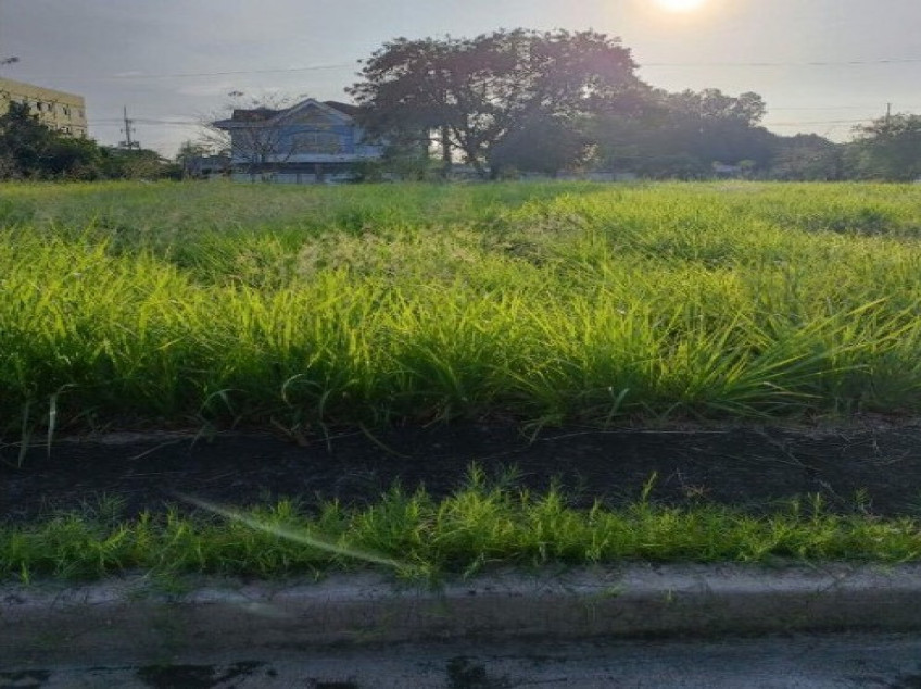 Britanny Executive Subdivision - Neopolitan - 6 Lots For Sale