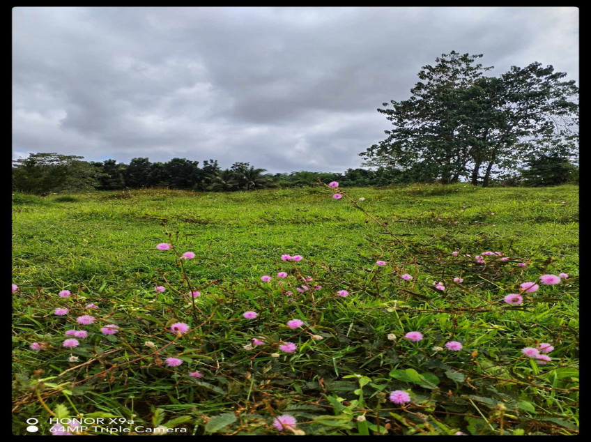 DRT Bulacan Farm Lot For Sale