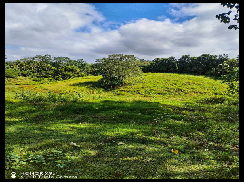 DRT Bulacan Farm Lot For Sale