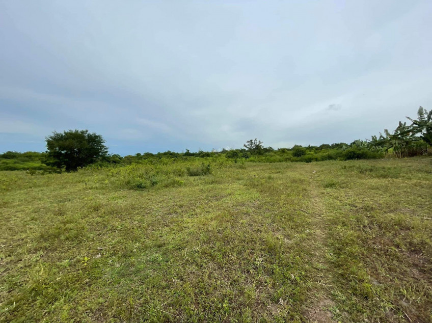 For Sale Farm Lot In Davao Del Sur