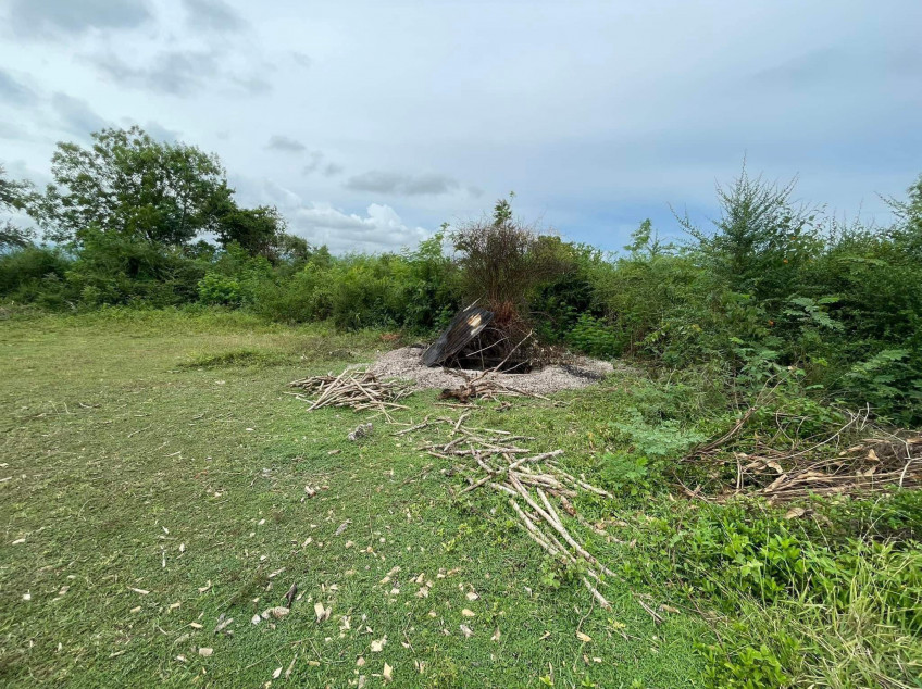 For Sale Farm Lot In Davao Del Sur