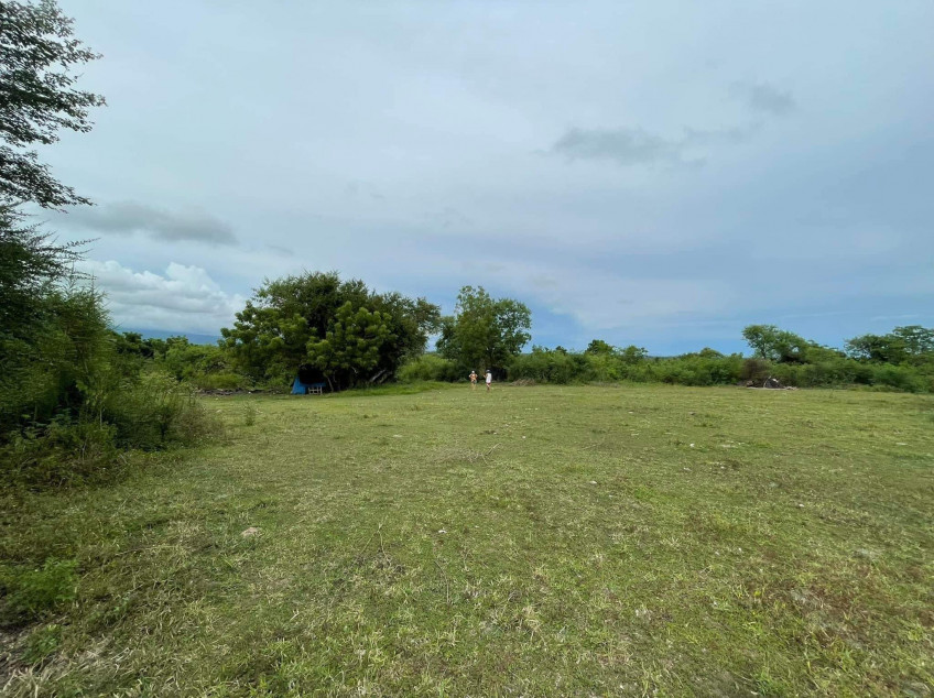 For Sale Farm Lot In Davao Del Sur