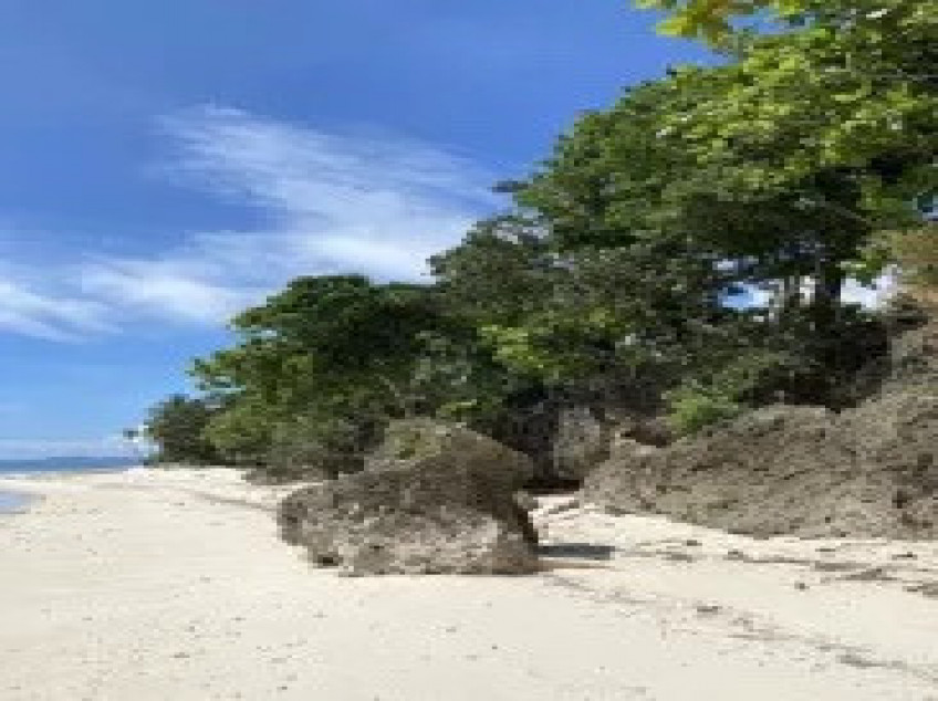 1 Hectare White Sand Bohol Beach Property