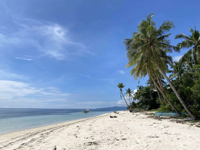 1 Hectare White Sand Bohol Beach Property