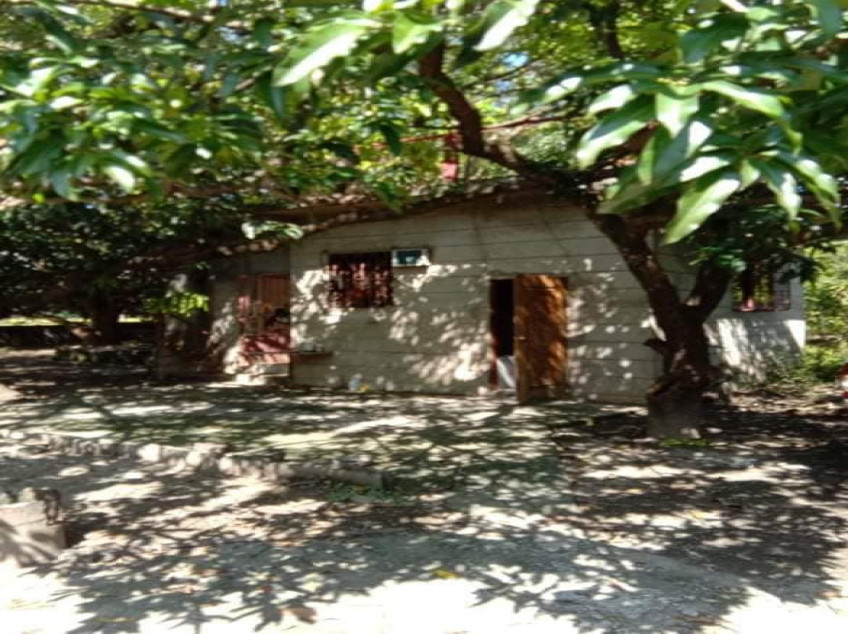 3509 SQM Farm For Sale In Pangasinan With 2 Concrete Houses & Fruit Trees