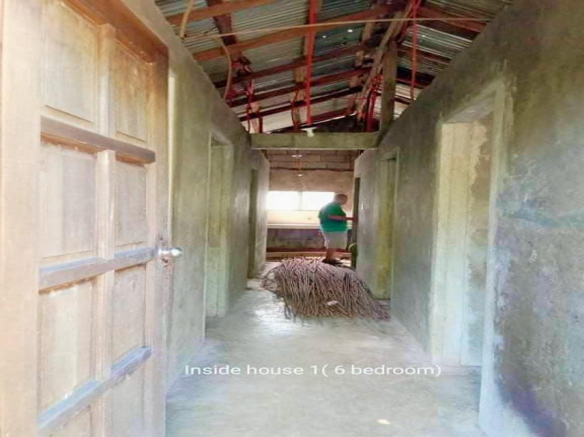 3509 SQM Farm For Sale In Pangasinan With 2 Concrete Houses & Fruit Trees