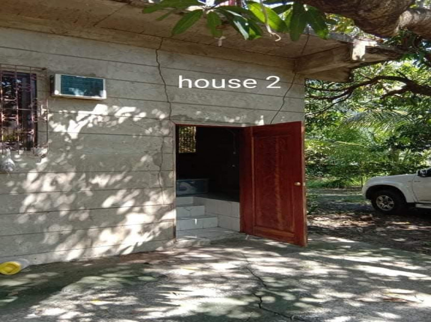 3509 SQM Farm For Sale In Pangasinan With 2 Concrete Houses & Fruit Trees