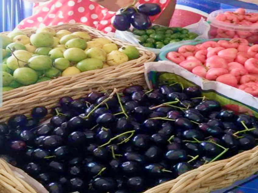 3509 SQM Farm For Sale In Pangasinan With 2 Concrete Houses & Fruit Trees