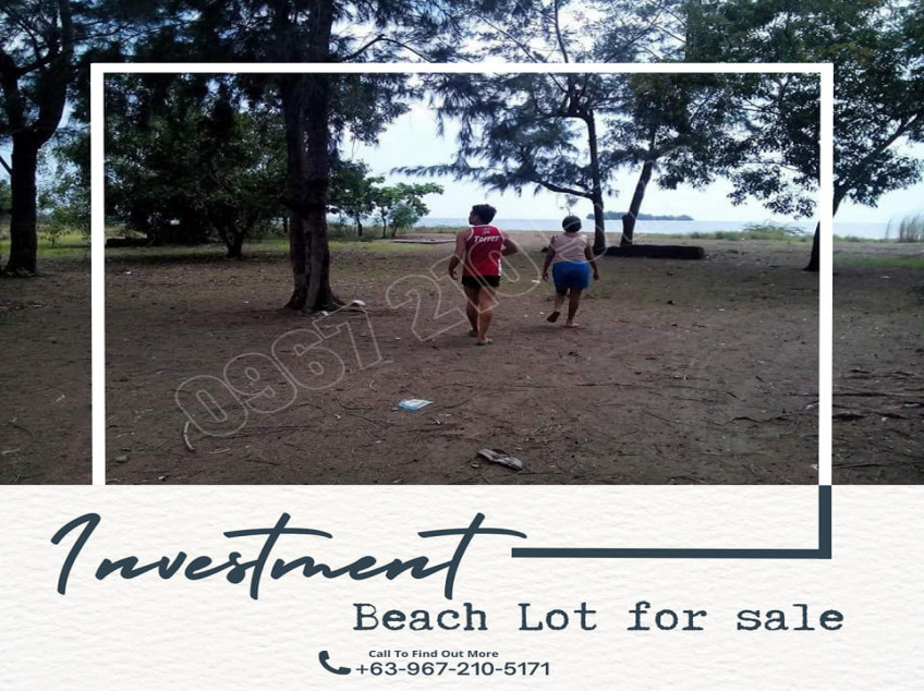 Beach Lot For Sale In Candelaria, Zambales