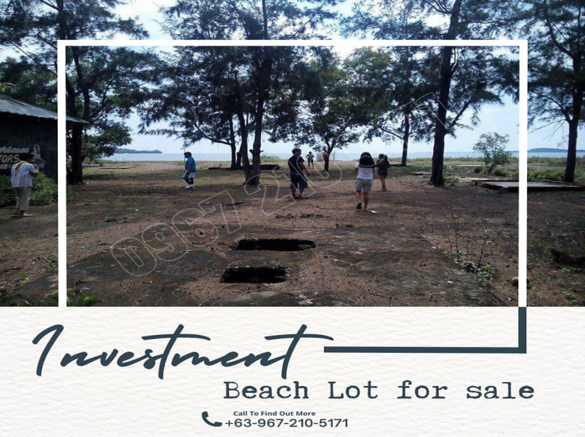 Beach Lot For Sale In Candelaria, Zambales