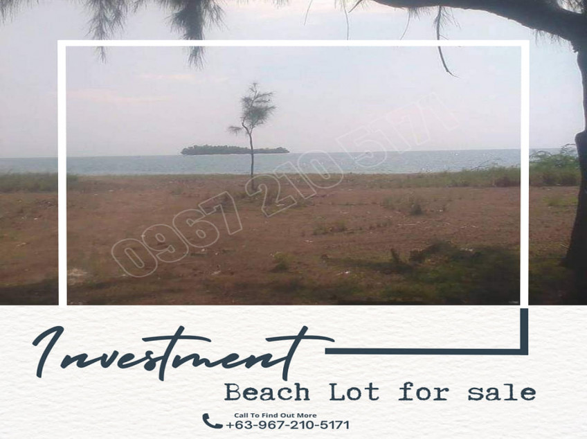 Beach Lot For Sale In Candelaria, Zambales