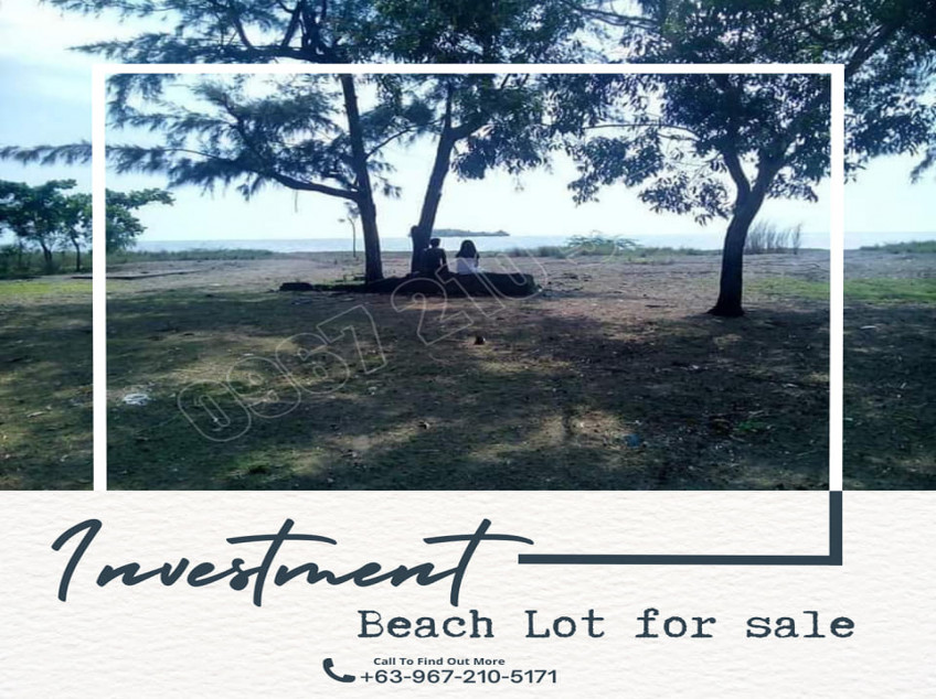 Beach Lot For Sale In Candelaria, Zambales