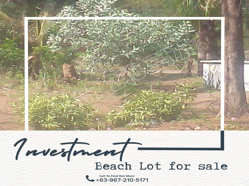 Beach Lot For Sale In Candelaria, Zambales