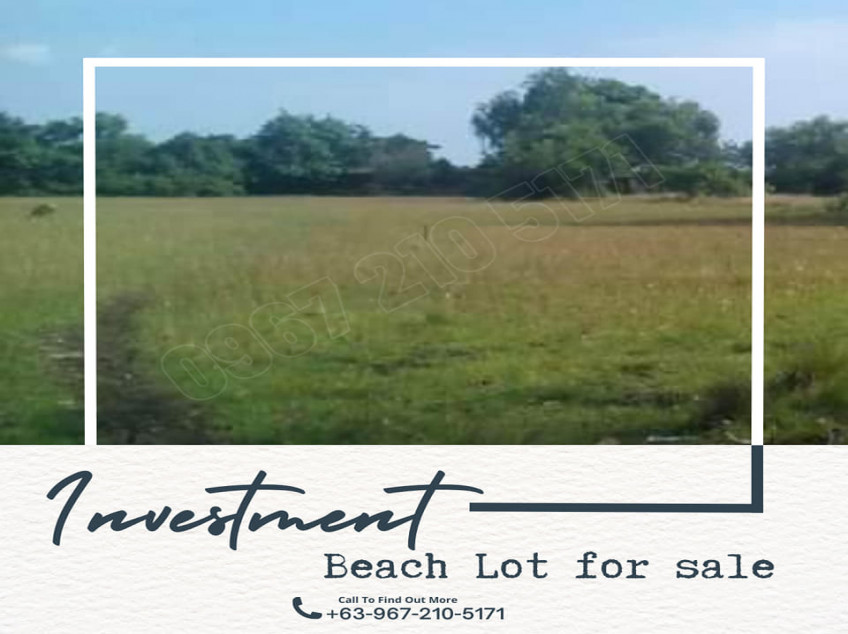 Beach Lot For Sale In Candelaria, Zambales