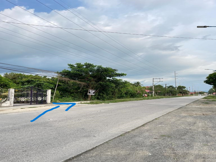 Lot For Sale 300 SQM For Lease At Padre Garcia, Batangas