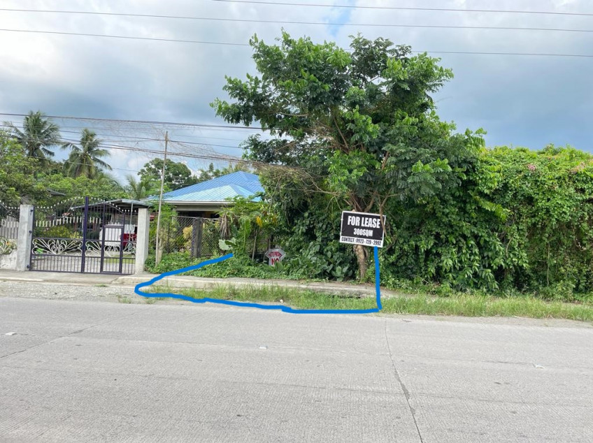 Lot For Sale 300 SQM For Lease At Padre Garcia, Batangas