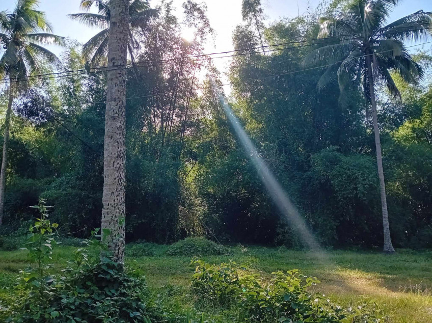 Land For Sale In Calamias Lipa City Batangas