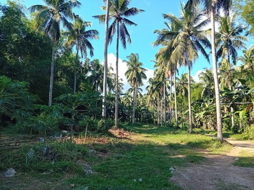 Land For Sale In Calamias Lipa City Batangas