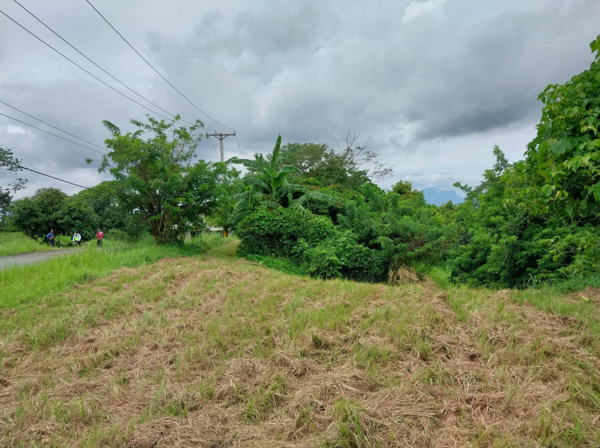 Lot For Sale Plantation Hills Tagaytay Midlands