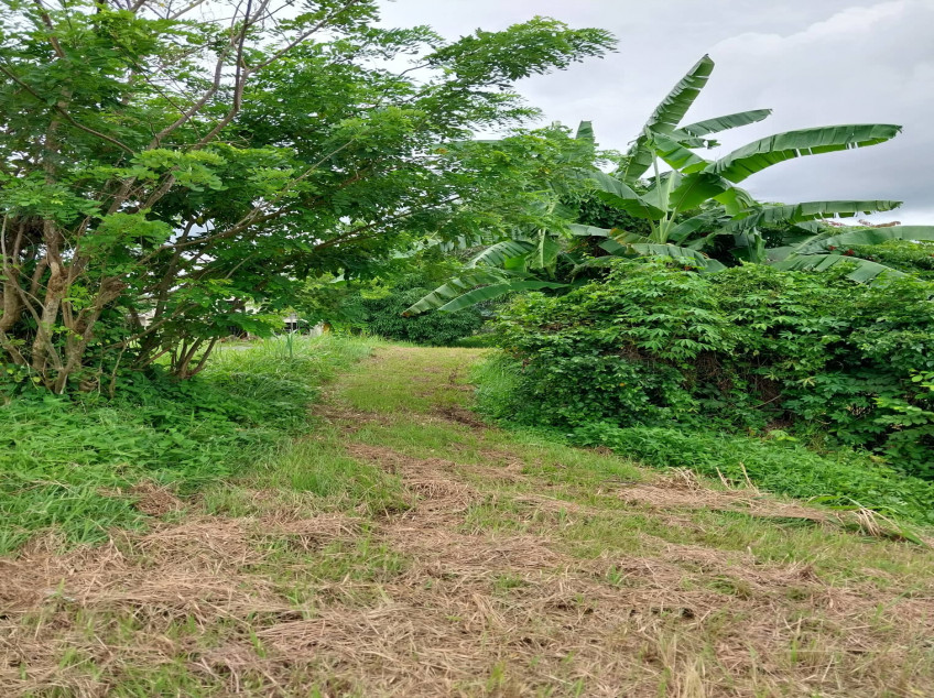 Lot For Sale Plantation Hills Tagaytay Midlands