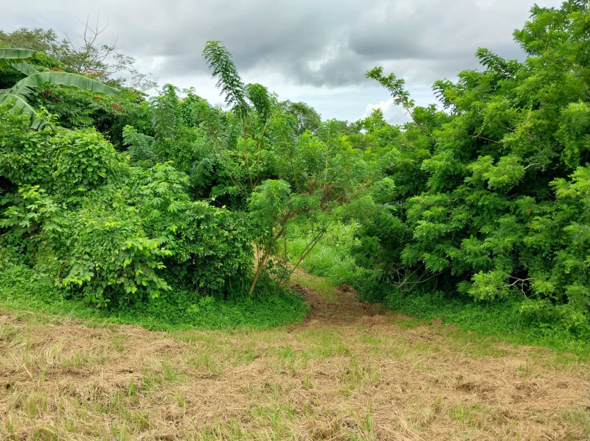 Lot For Sale Plantation Hills Tagaytay Midlands