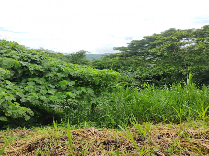 Lot For Sale Plantation Hills Tagaytay Midlands