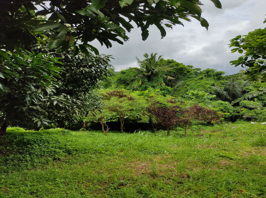 Lot For Sale Plantation Hills Tagaytay Midlands