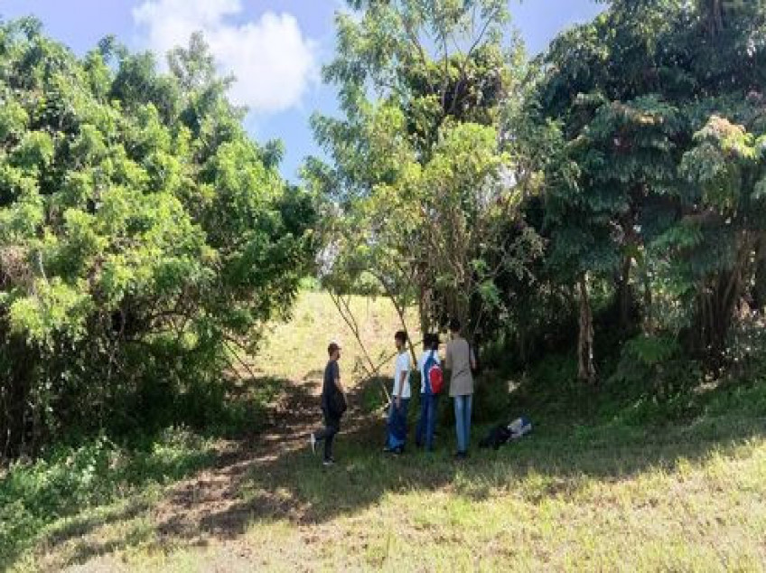 Lot For Sale Plantation Hills Tagaytay Midlands