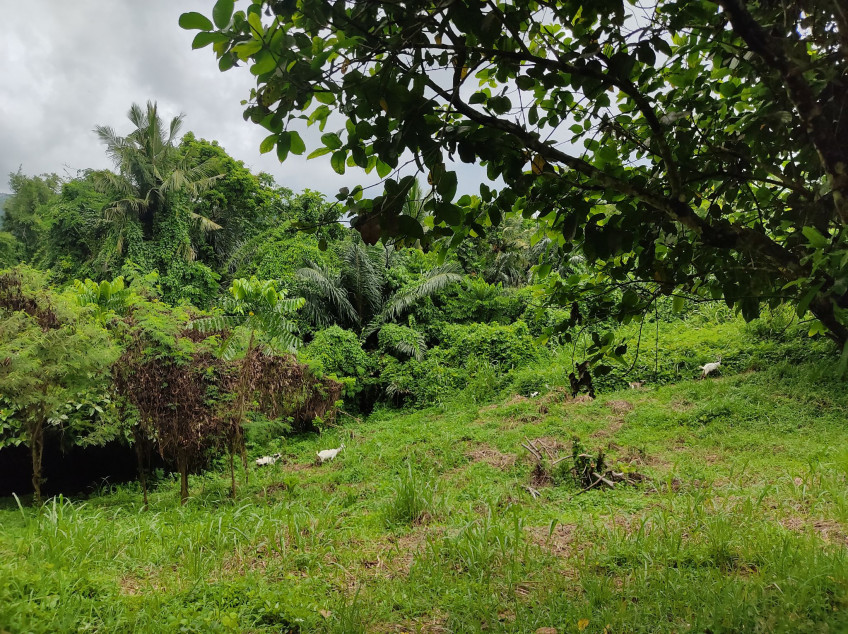 Lot For Sale Plantation Hills Tagaytay Midlands