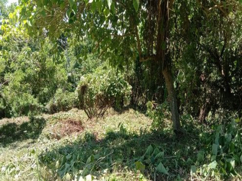 Lot For Sale Plantation Hills Tagaytay Midlands