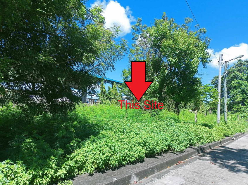 Rush Sale!!! 3 Lots For Sale Inside Golden Meadows Subdivision Gabi Cordova, Cebu