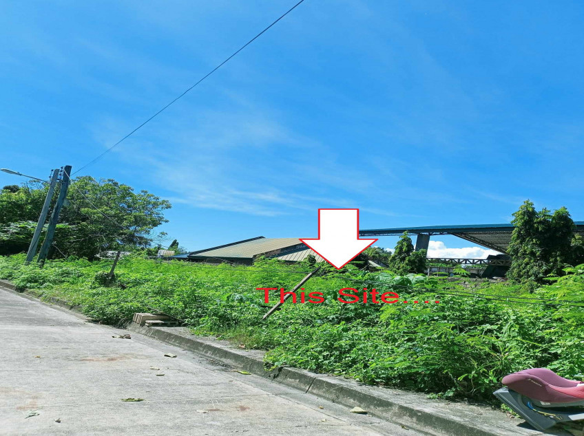 Rush Sale!!! 3 Lots For Sale Inside Golden Meadows Subdivision Gabi Cordova, Cebu