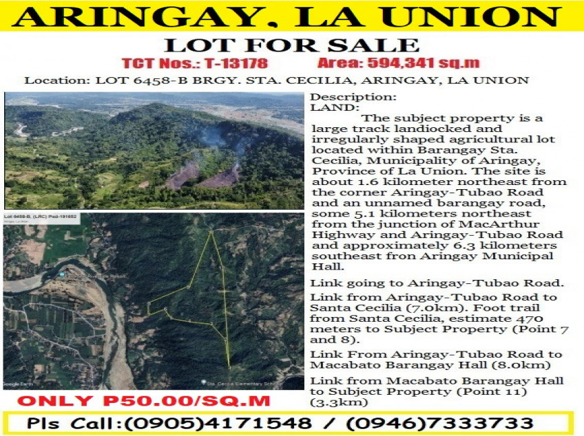 Lot For Sale In Aringay La Union