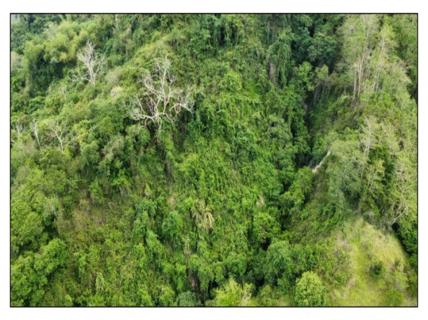 Lot For Sale In Aringay La Union