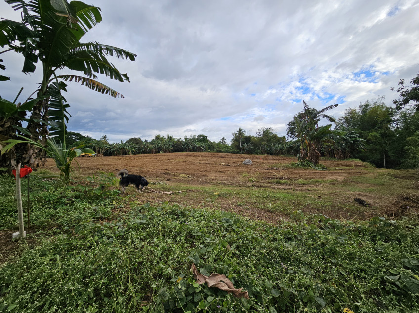 Lot For Sale (Pre-Selling) At Indang, Cavite