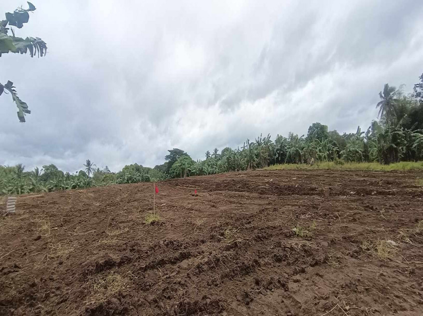 Farm Lot For Sale: River Front Leisure Farm And Resort At Indang, Cavite